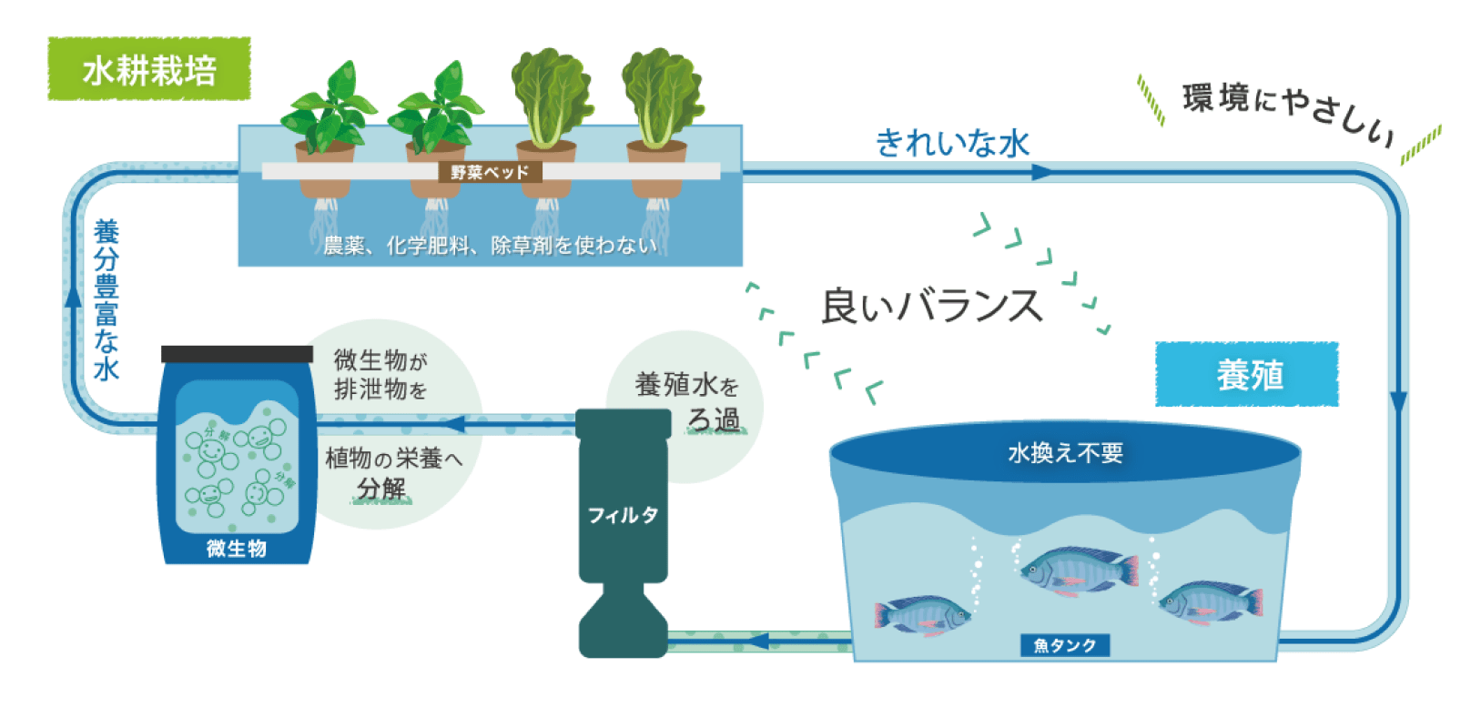 アジャイルエナジーXが