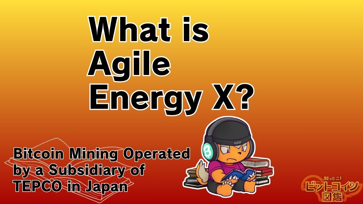 Agile Energy X