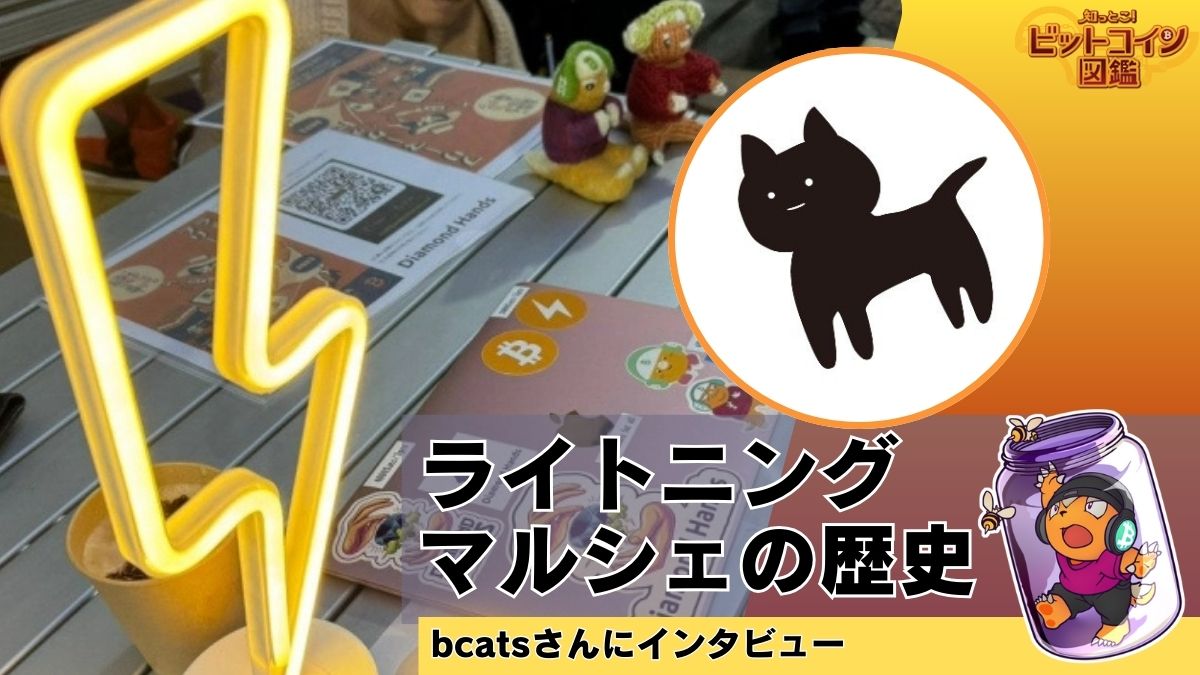 ライトニングマルシェの歴史！押し込まれの過去をbcatsさんにインタビュー